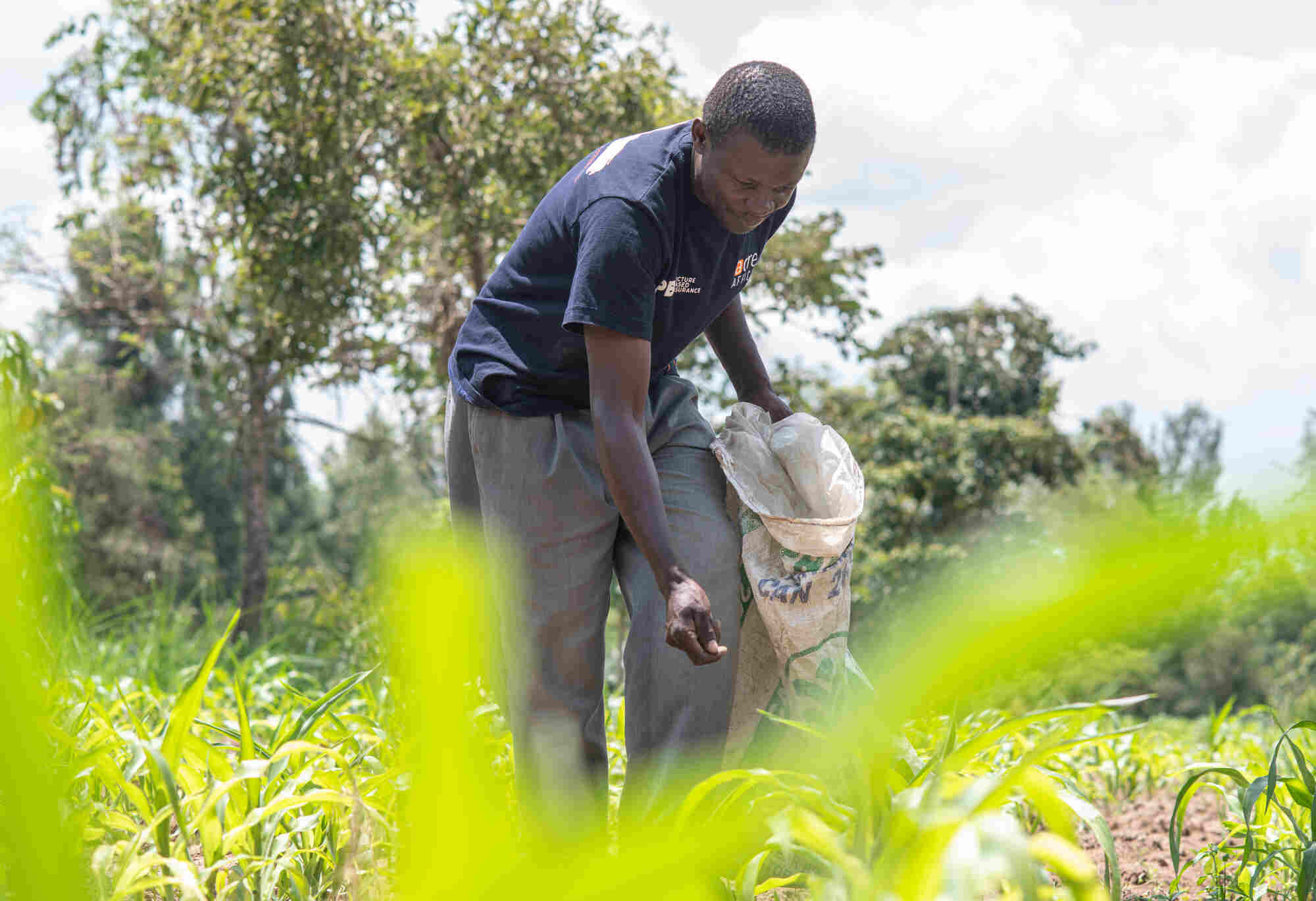 Reimagining Agriculture Insurance Using Blockchain Technology 